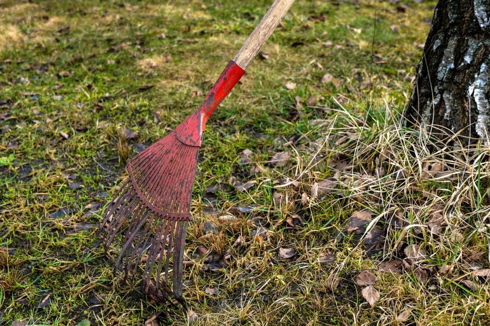 Met een grashark kan je jouw gazon vrij maken van onkruid, bladeren etc.
