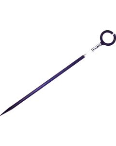 DeWit draadpen 400 x Ø 10 mm met oog
