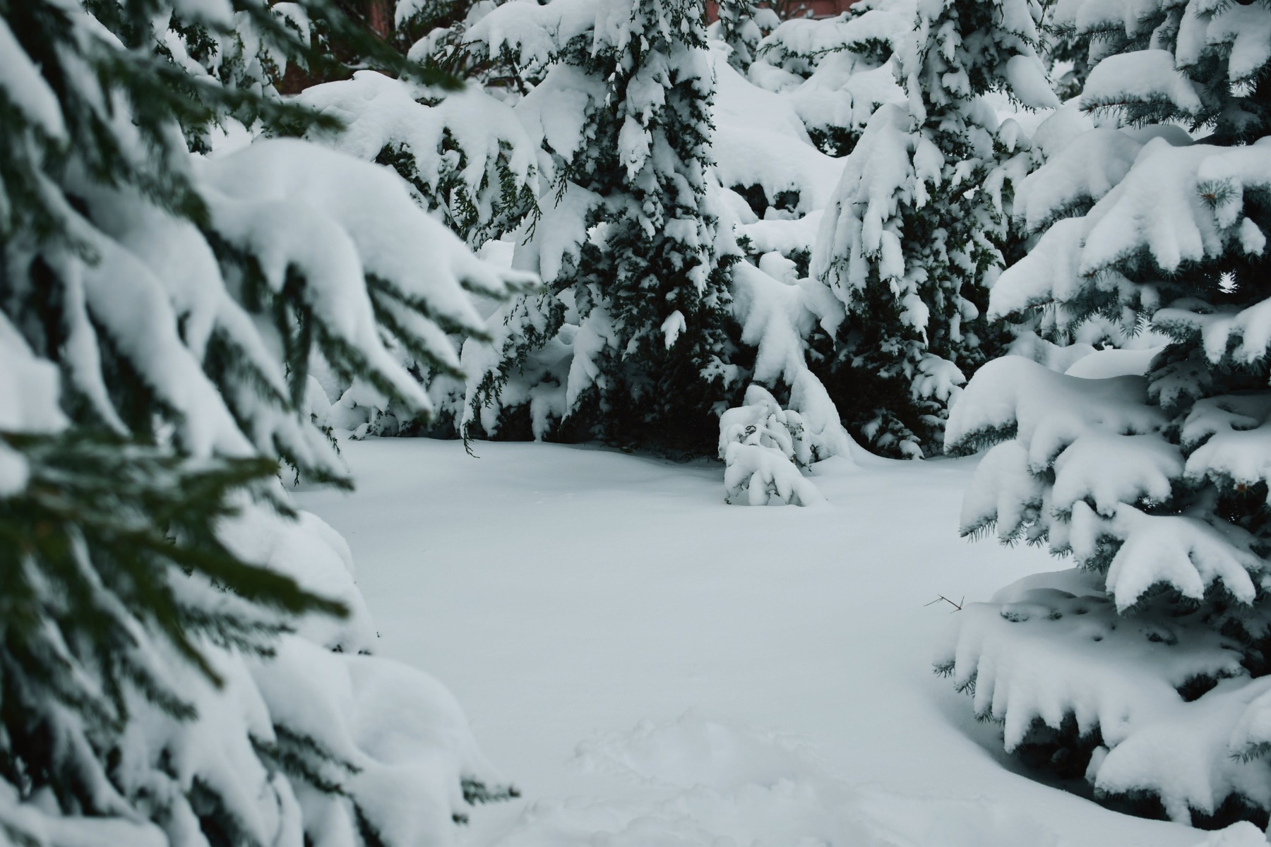 in de winter moet je ervoor zorgen dat de tuin altijd winterklaar is